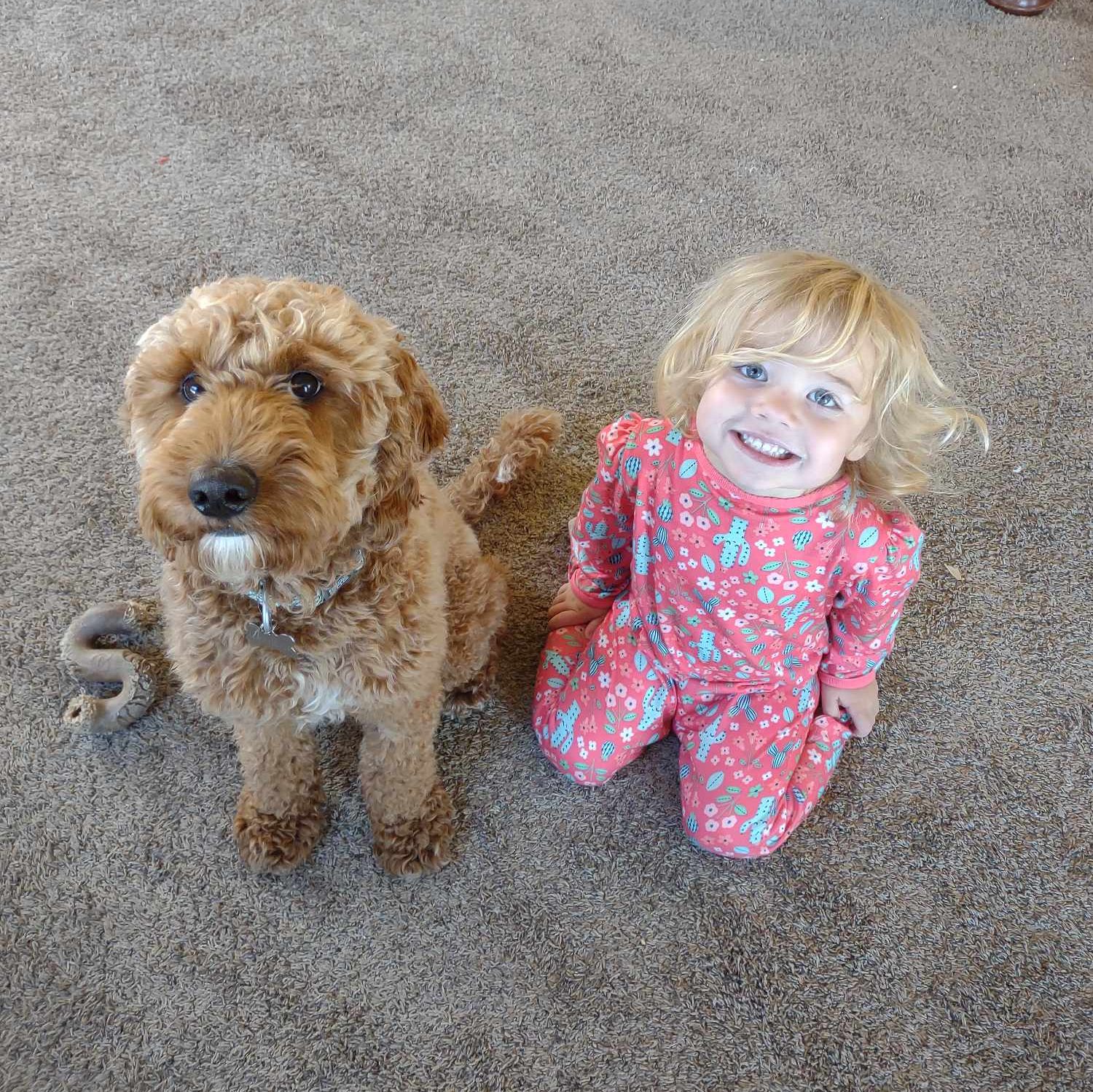 cropped-Dog-Boarding.jpg